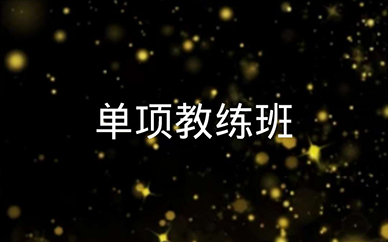 深圳舞蹈單項教練課程班培訓